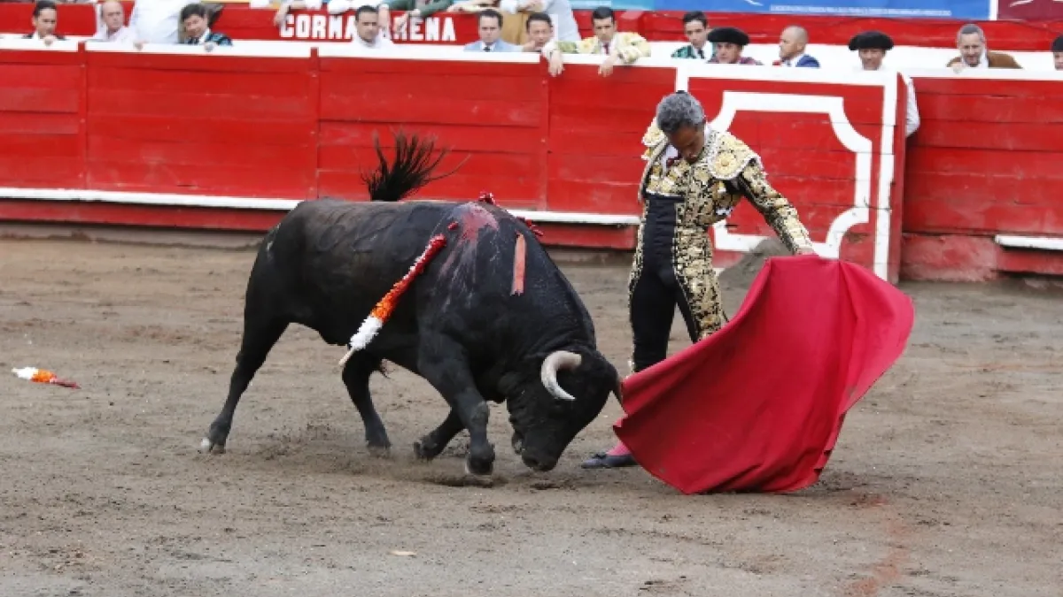Luis Bolívar en la Plaza de Toros de Manizales en enero. 