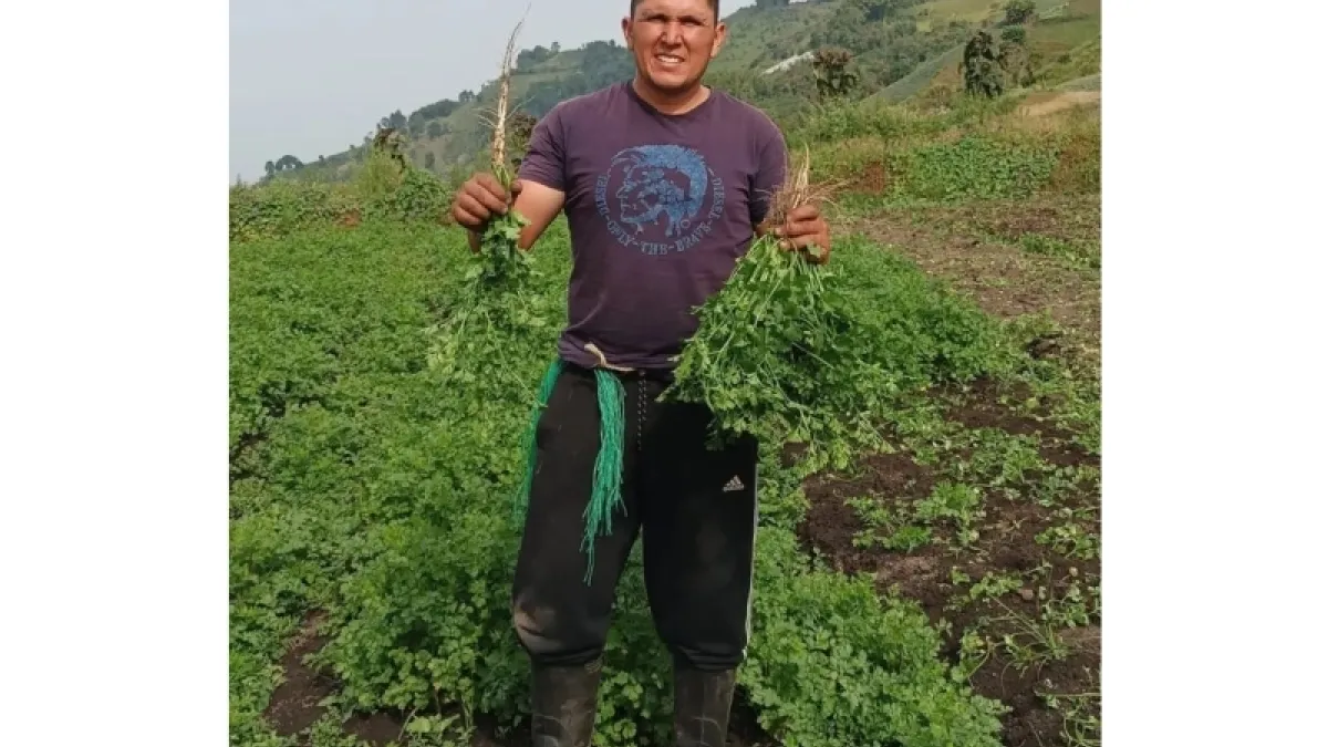 Iván Freddy Cipagauta Quintero