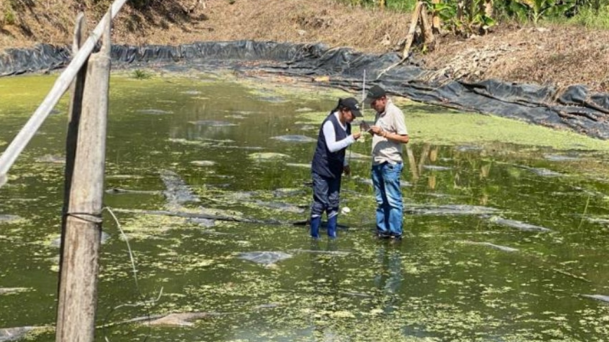 Actividades del l equipo de Enfermedades Transmitidas por Vectores (ETV) de la Dirección Territorial de Salud de Caldas en el resguardo indígena Totumal (Belalcázar).