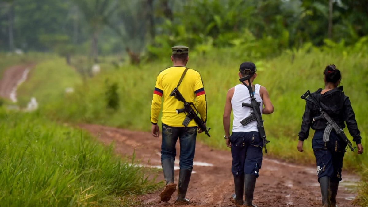 Grupos armados ilegales reclutaron en 2025 a casi 260 menores en Colombia