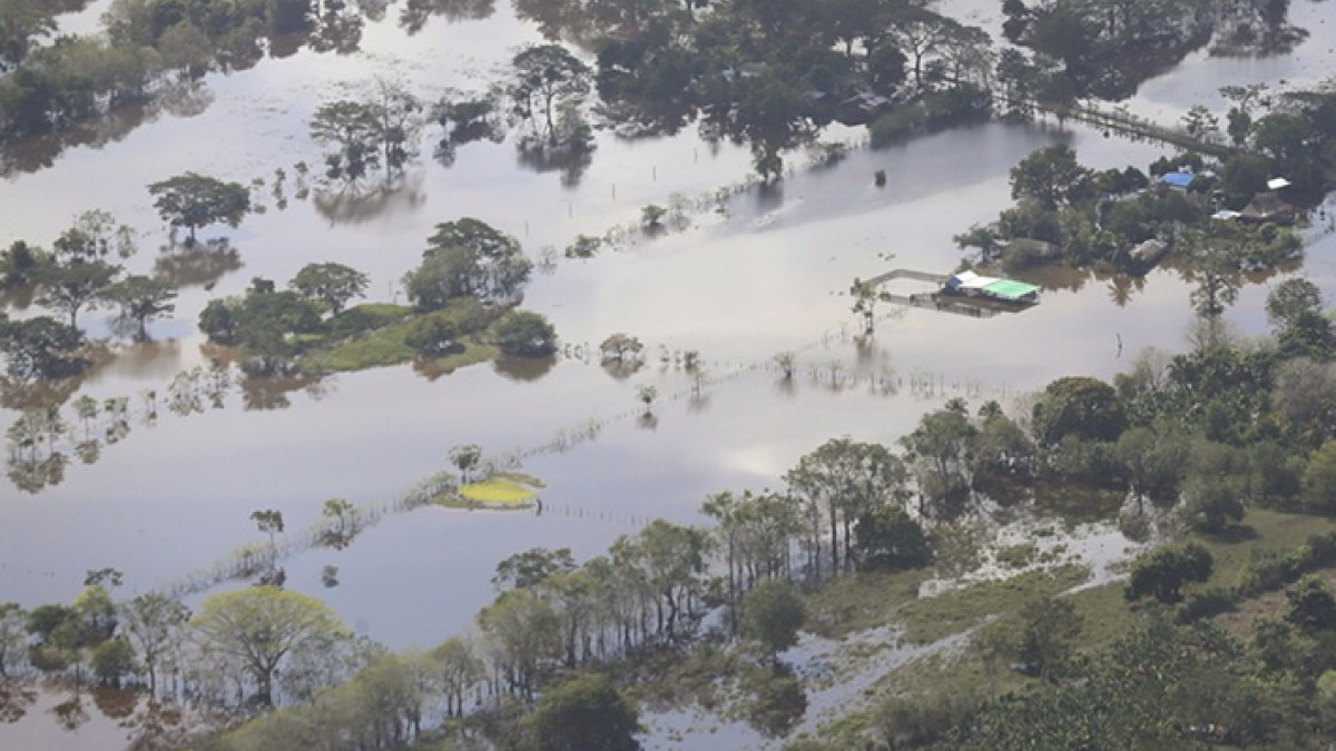 Foto | EFE | LA PATRIA  Cientos de familias permanecen entre el agua por las inundaciones en el noroeste de Colombia, el departamento más afectado es Córdoba.
