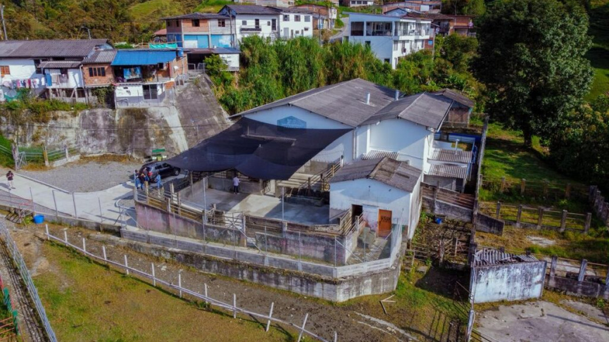 El Invima habilitó la Planta de Beneficio Animal de Aranzazu, que estuvo cerrada desde el 2022. Con esta reapertura, ya son siete los mataderos operativos en Caldas. Aún hay ocho con intenciones de reactivación, pero inactivos.