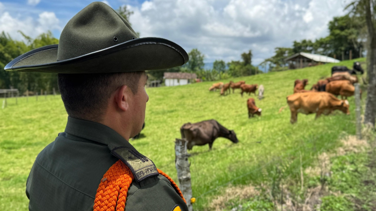 Fotos| Policía| LA PATRIA  Gracias a la oportuna reacción y al trabajo articulado, uniformados de la Seccional de Carabineros y Protección Ambiental lograron ubicar y recuperar el ganado, puesto a disposición de las autoridades para su posterior entrega a sus legítimos propietarios.