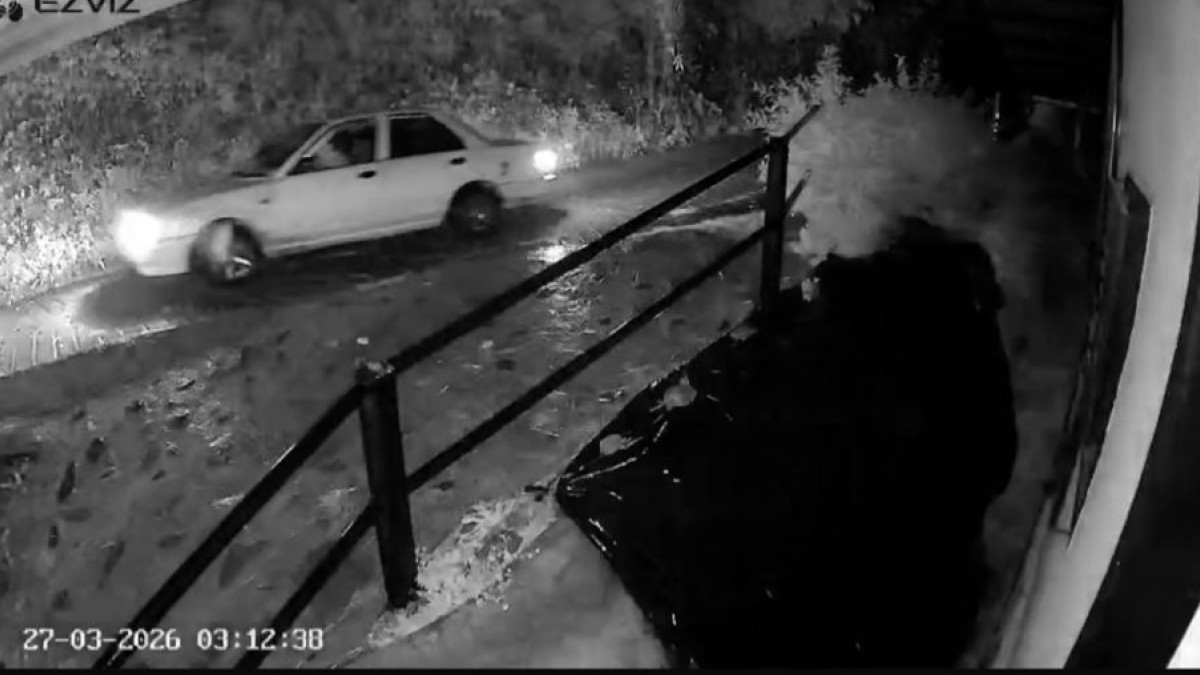 Fotos| Cortesía | LA PATRIA  Los videos muestran el paso del carro en el que habrían sacado los elementos de la finca avaluados en unos $35 millones, según los afectados.