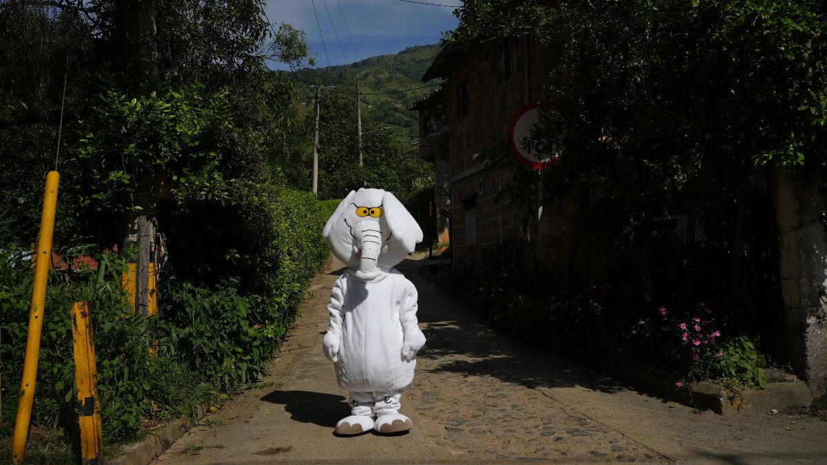 Elefante blanco habla sobre Autopistas del café