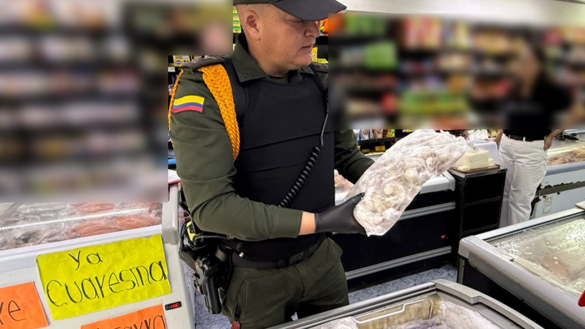 939 kilogramos de pescado en malas condiciones se ha incautado en Manizales y Villamaría durante el último mes. La Policía entrega recomendaciones para comprar el alimento en un estado apto para el consumo.
