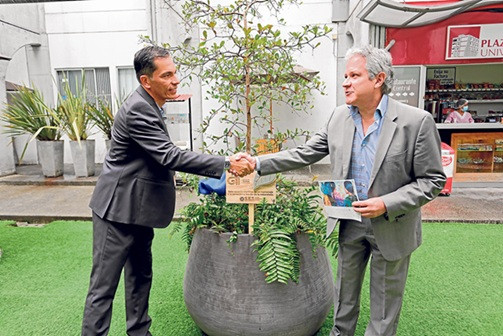 Jardines y arte que sanan