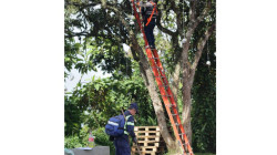 Balance de la Feria de Manizales: Seguridad y civismo dejan a la ciudad por lo alto 