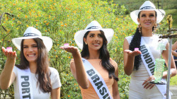 Avistamiento de colibríes y cata de café, la primera parada de las candidatas al Reinado Internacional del Café