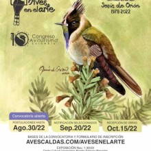 Postule su obra para la exposición Aves en el arte 