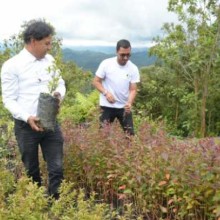Caldas biodiversa: la semilla que germinó en la pandemia