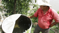 77 casos en La Dorada activan alerta contra el dengue en Caldas