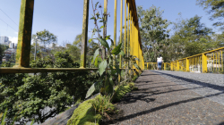 Puente peatonal de la Avenida Kevin Ángel con peligros para cruzarlo 