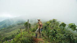 Ordenan restituirles tierras a familias de tres municipios caldenses 