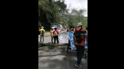 Supieños bloquean la vía en el sector de El Palo por damnificados en su municipio