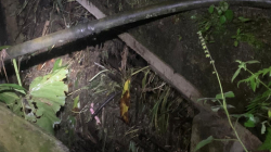 Aranzazu y La Merced (Caldas), otros damnificados por fuertes lluvias