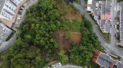 En Laureles continúan firmes por el bosque de Camino de la Palma Real