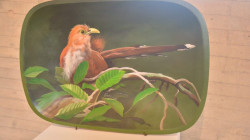 Explore las aves a través de la exposición de arte en el Rogelio Salmona