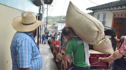 Caficultores podrán acceder a seguros de cosecha y vivienda