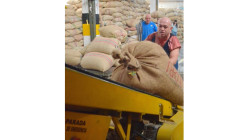 Precios, renovación y fertilizantes, entre las dudas para el 90.º Congreso Cafetero