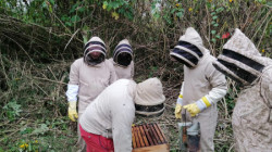 Apiario Der Imker, una cosecha de miel tradicional 