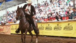 Neira celebró con éxito  su Exposición Equina