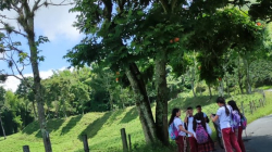 En Palestina el transporte escolar se quedó pegado  