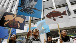 El río Anchicayá le recuerda al país que tiene una deuda pendiente