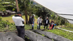 Campesinos de Villamaría calificaron la producción agrícola del año 
