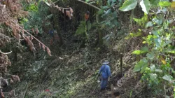 Prohíben rocería y tala en el bosque Camino de la Palma Real de Manizales