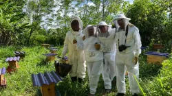 En Palestina los apiarios son una experiencia temática