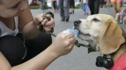 Tenga en cuenta los cierres viales este fin de semana en Manizales