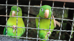 Que las especies animales no se acaben por su culpa