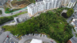 Juzgado resuelve medida cautelar respecto a la reserva Camino de la Palma Real