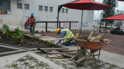 Lo que pasaría en la 19 si se repite lo del bulevar de la 48