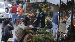 La Galería de Manizales, un lugar que despierta temprano: historias de seis madrugadores
