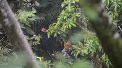 Choque de carros terminó con la muerte de tres personas en zona rural de Manizales