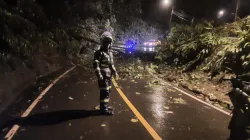 Cierre de la vía El Peñón por caída de dos árboles