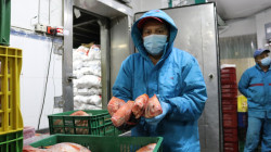 Colombia cuenta con 30 mil toneladas de pescado para la Semana Santa