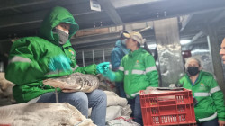 Verifique los puntos de venta de pescado para Semana Santa: Territorial de Salud de Caldas