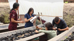 Jardín Botánico de la Universidad de Caldas, el pulmón verde de Manizales