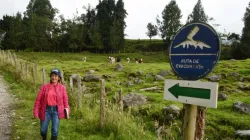Flora está activa ante cualquier llamado por el volcán Nevado del Ruiz