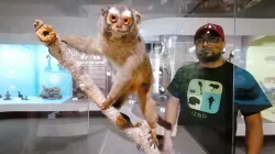 Semillero de Primatología estrena libro para conocer los monos de Caldas