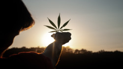 Qué es Delta 8: para qué sirve el Delta 8 THC