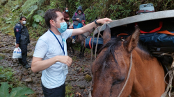Telesalud prende motores para mayor acceso rural 
