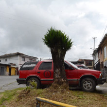 En curva de barrio Villa Nueva se quejan de vehículos mal parqueados    