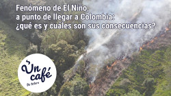 Tras el inicio de la oleada de calor, se acerca El Niño y trae consigo Un Café de tetero
