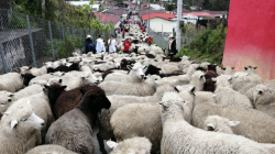 Conozca los candidatos a la Alcaldía de Marulanda (Caldas)