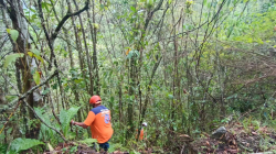 Muertes en accidentes de tránsito podrían marcar antirrécord en el 2023