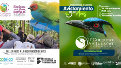 Dos actividades para aprender sobre observación aves en los ecoparques de Manizales
